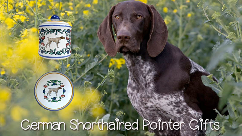 german shorthaired pointer accessories